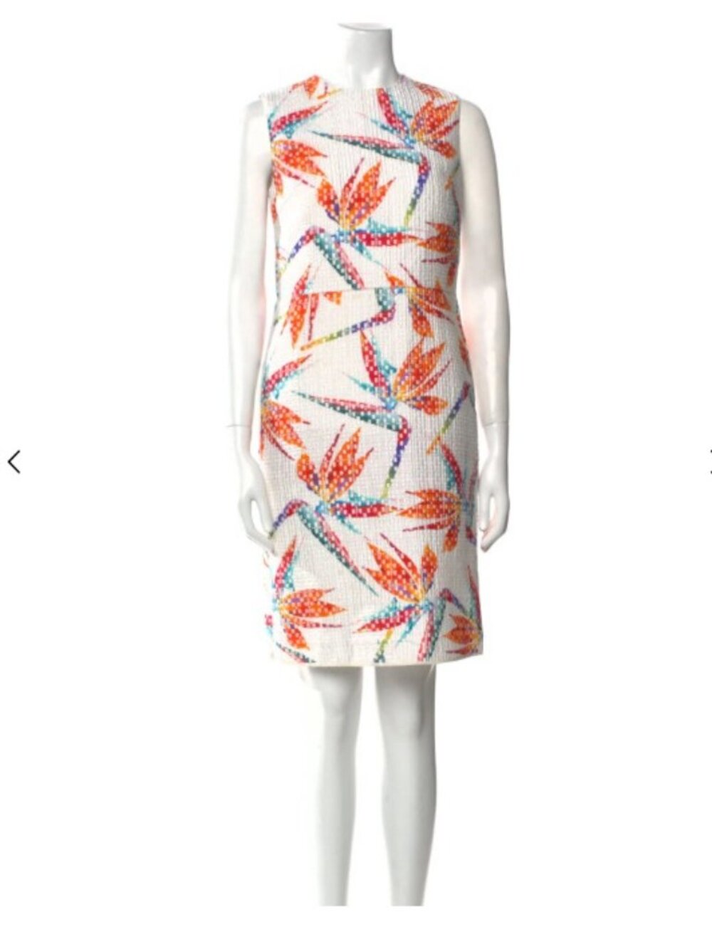 Fendi Bird Print Shift Dress IT36 XS Silk Lined Sleeveless Italy Resort Rare - Picture 2 of 9